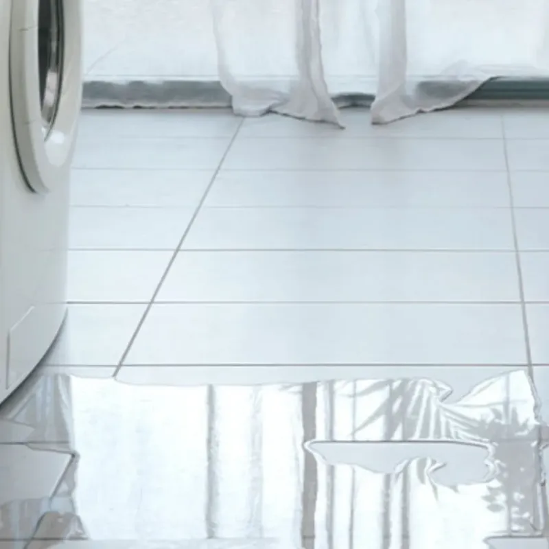 Appliance Leak Cleanup in Marion County, MS