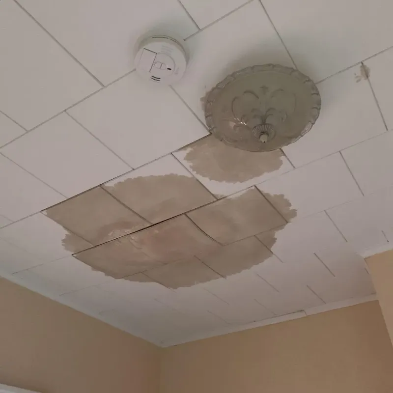 Ceiling Water Damage Repair in Marion County, MS