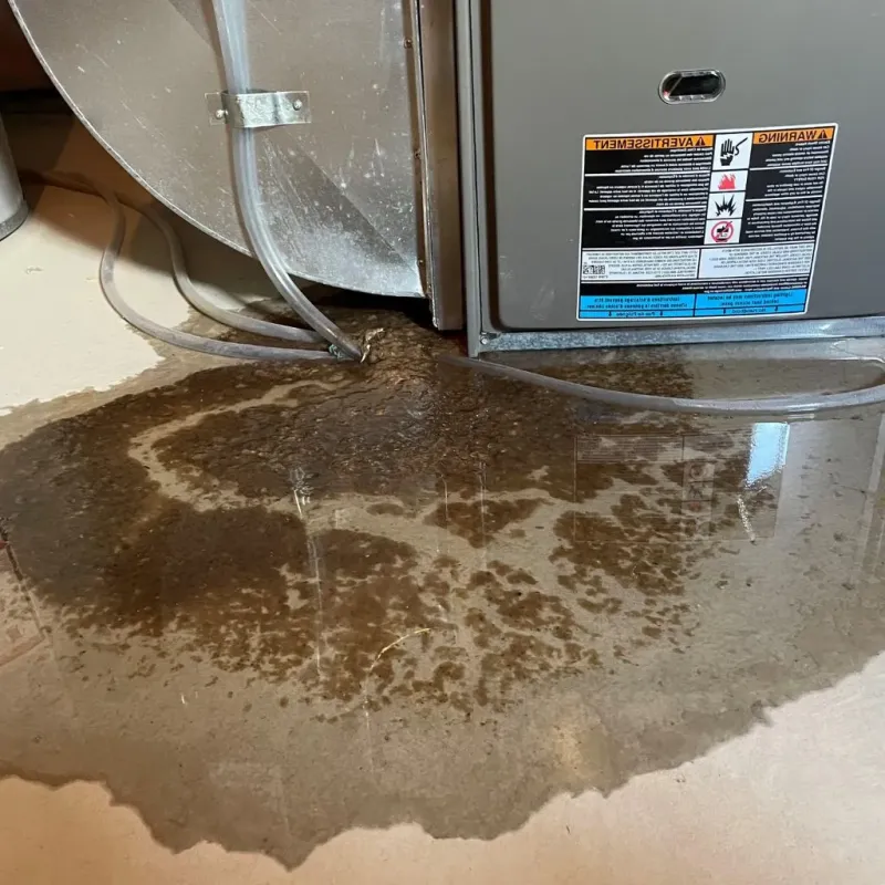 Pipe Burst and Leak Restoration in Marion County, MS