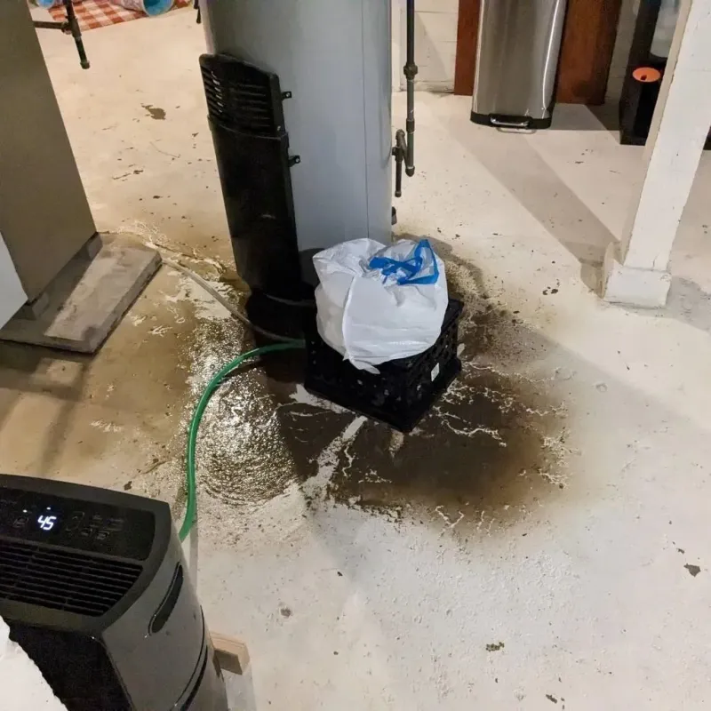 Sewage Backup Cleanup Service in Marion County, MS